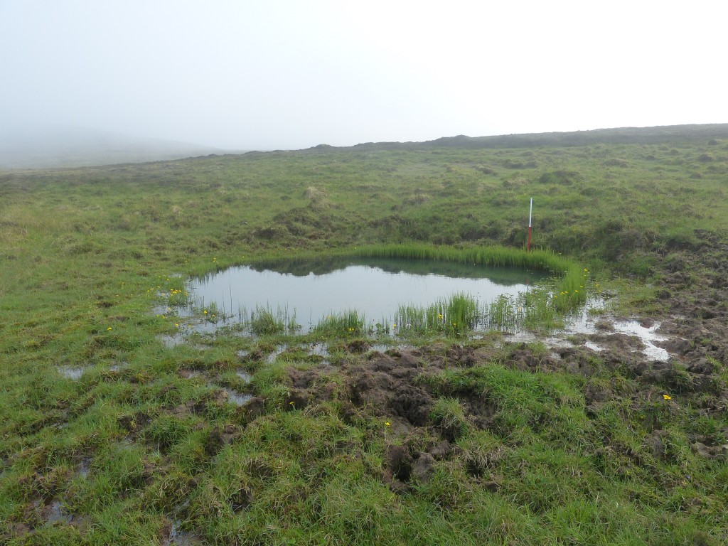 LoC Survey Hoy — Quoyness to Braebuster Hoy Orkney